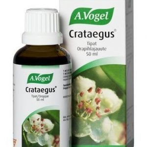 A.Vogel Crataegus