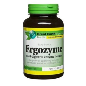 Great Earth Ergozyme 90 tablettia