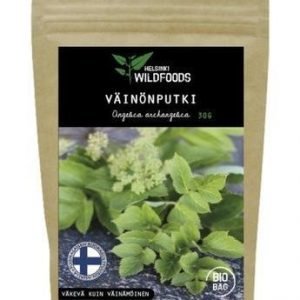 Helsinki Wildfoods Väinönputki