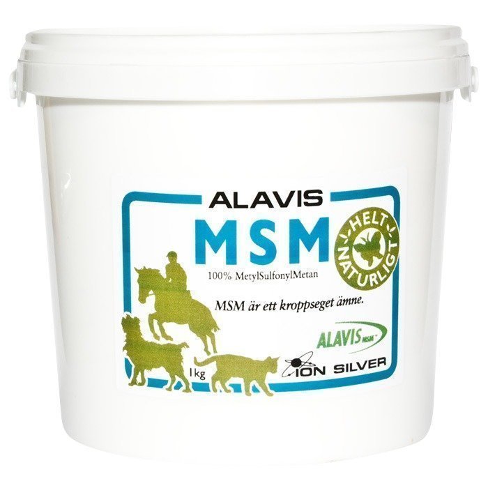 Ion Silver MSM Alavis 1000 g