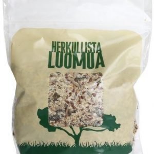 Organic Health Luomu Omega-Näkkärisekoitus